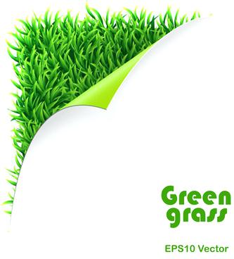 333x368 Green Grass Clip Art Download Green Grass Border Illustration