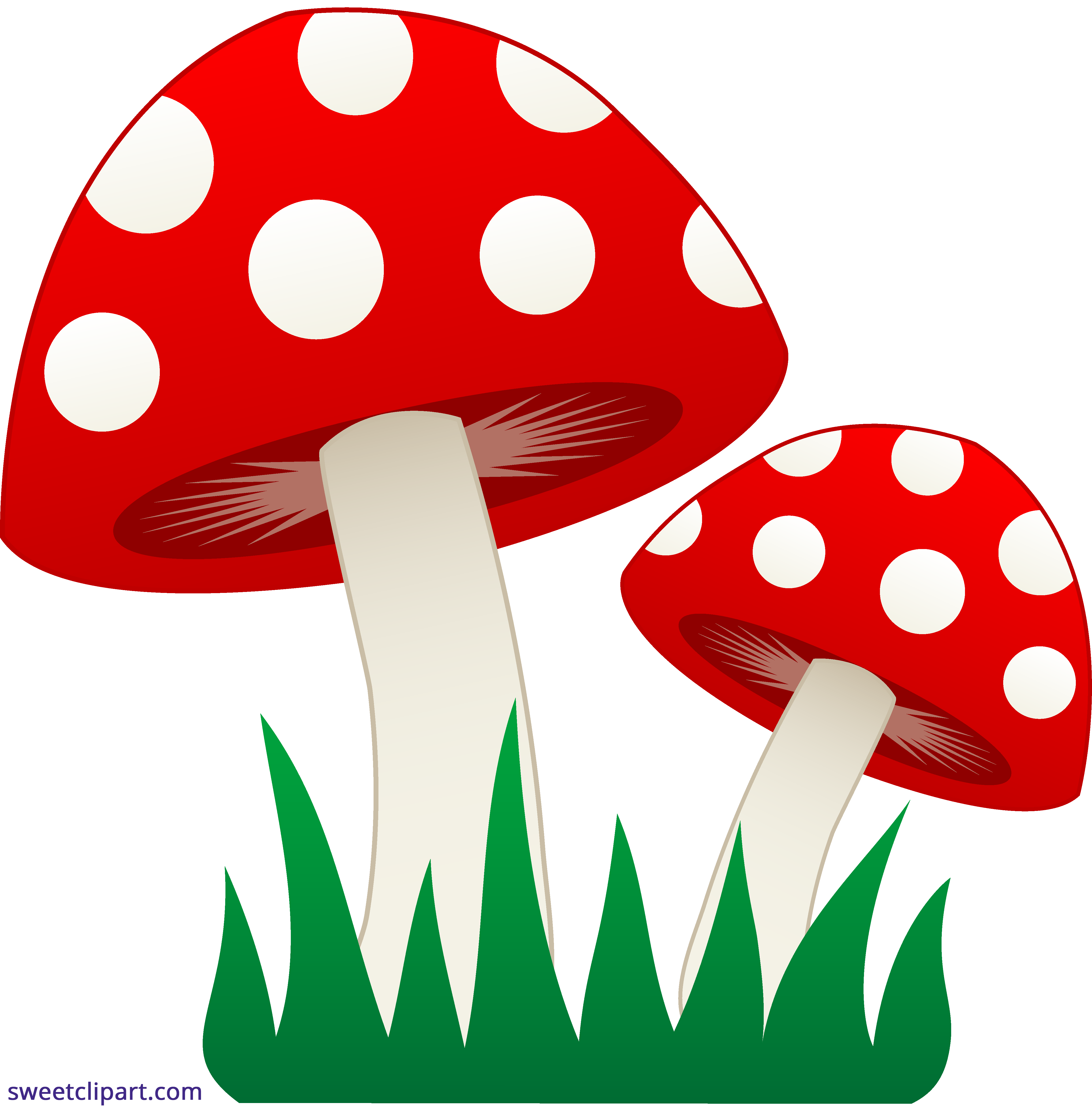 4660x4739 Mushrooms In Grass Clipart