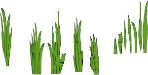 300x152 Grass Blades And Clumps Clip Art Free Vector 4vector