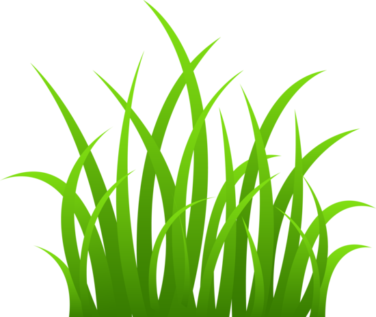550x464 Grass Clip Art Grass On Transparent Background Diy