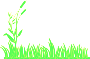 299x198 Green Grass Clip Art