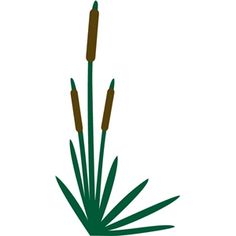 236x236 Green Grass Clipart Free Stock Photo Public Domain Pictures