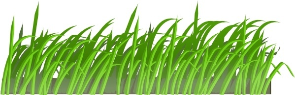 599x194 Vector Grass Texture Free Vector Download (8,224 Free Vector)