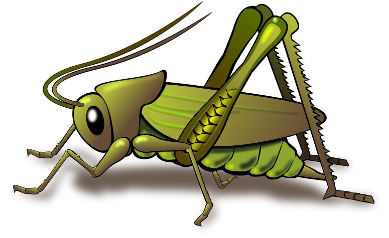 775x475 Grasshopper Clipart