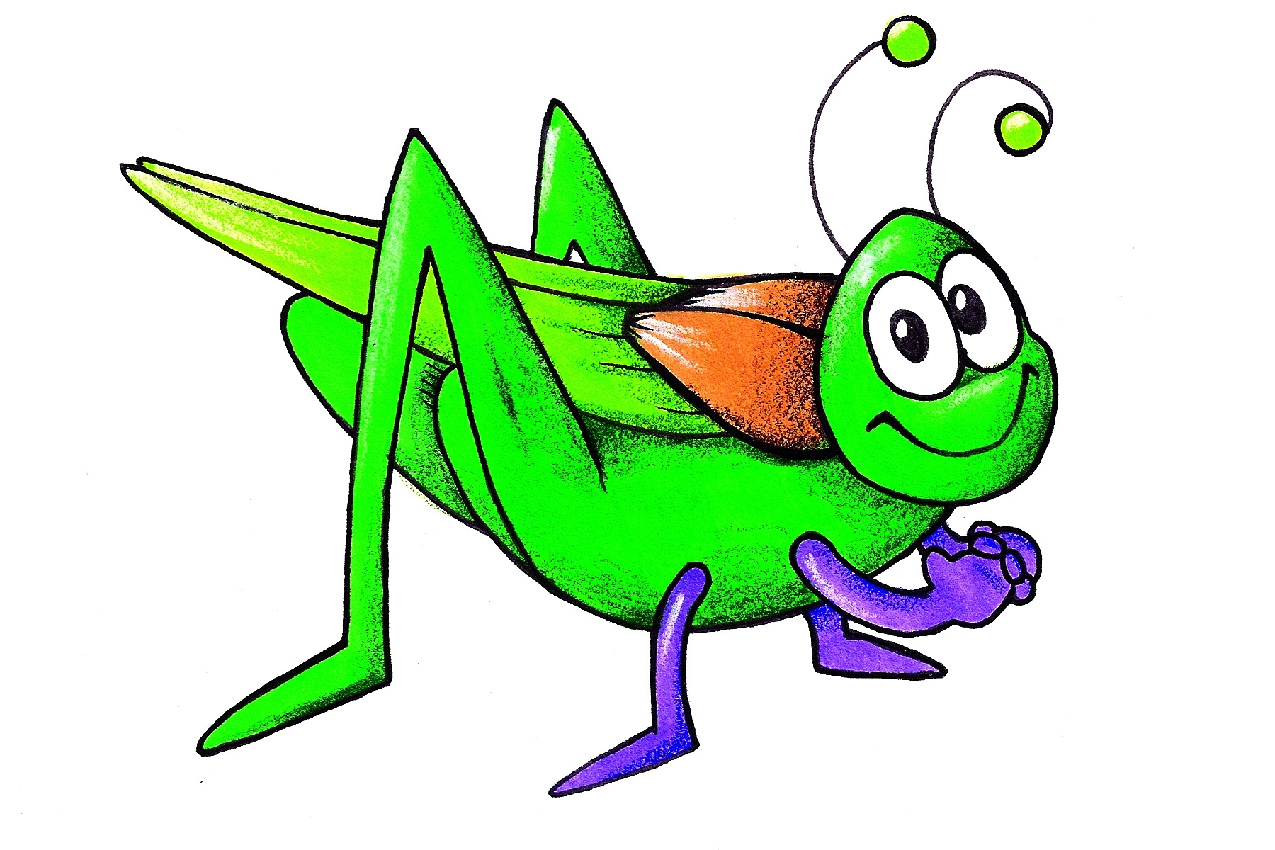 1800x1200 Grasshopper Cliparts Free Download Clip Art
