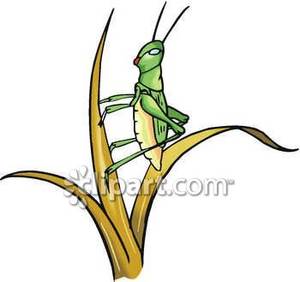 300x282 Locust Clipart Cartoon