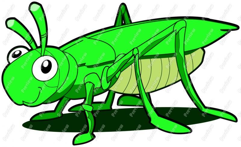 800x490 Free Clip Artgrasshoppers Grasshopper Clipart Item 3 Gypsy1