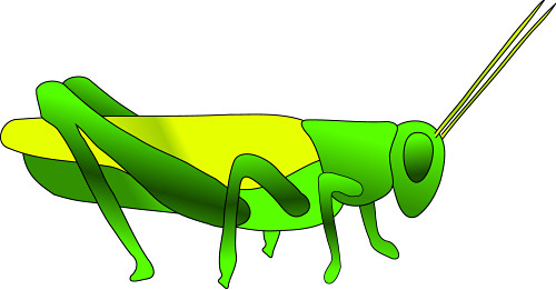 500x261 Grasshopper Clip Art Clipart Panda