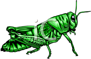 350x225 Nice Grasshopper Clip Art Clip