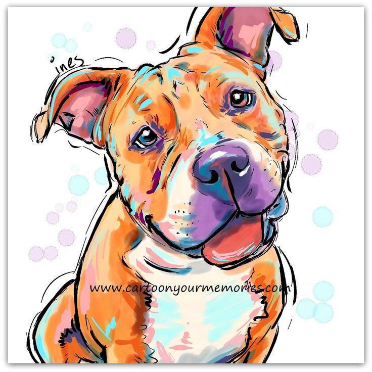 736x736 Drawn Pit Bull Grassland Animal