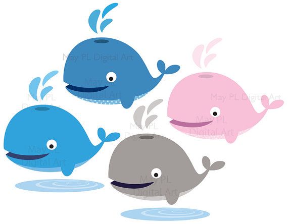 570x444 Digital Whale Clipart Cute Commercial Personal Use Baby Shower