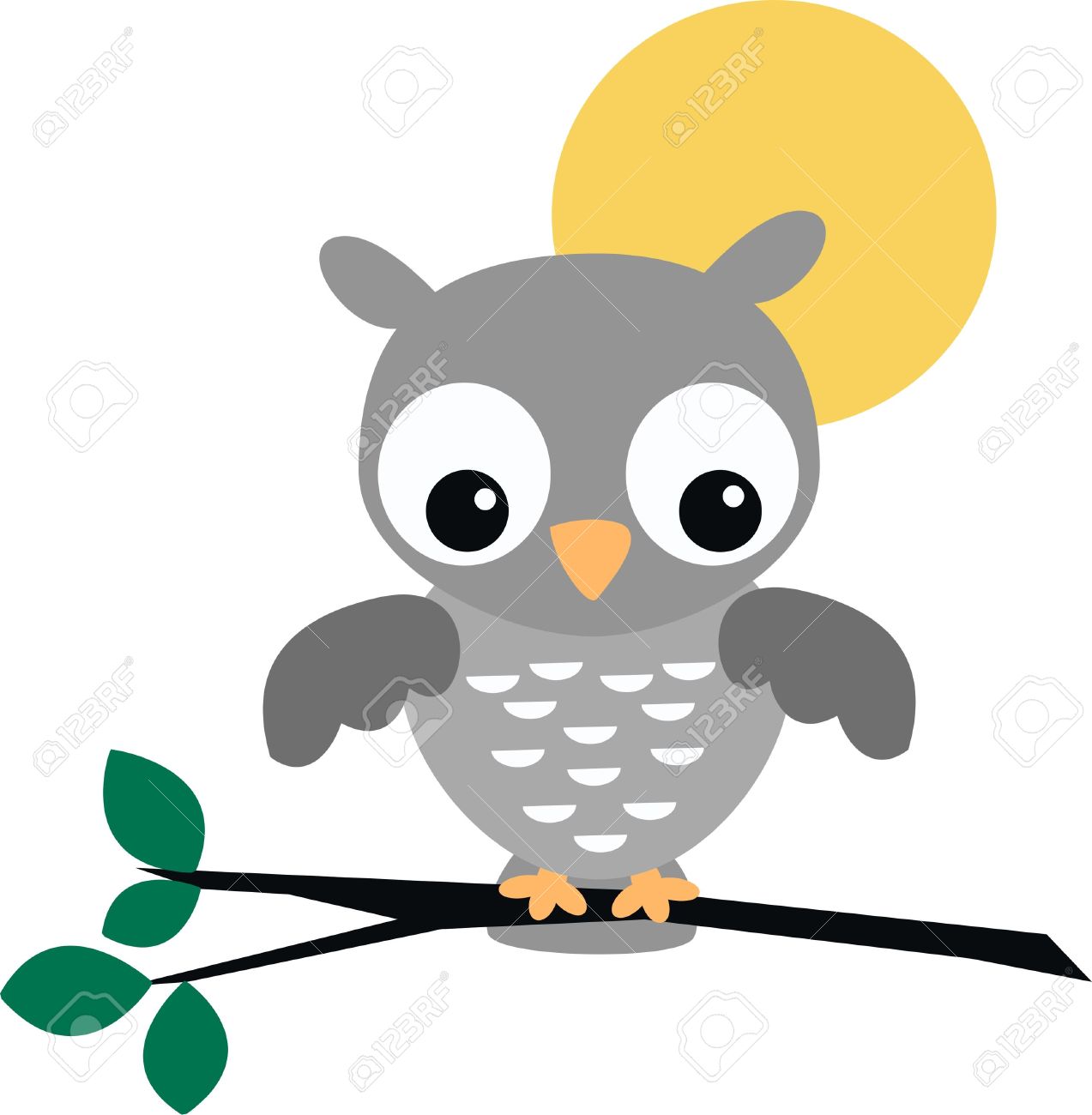 1273x1300 Grey Owl Clip Art Clipart