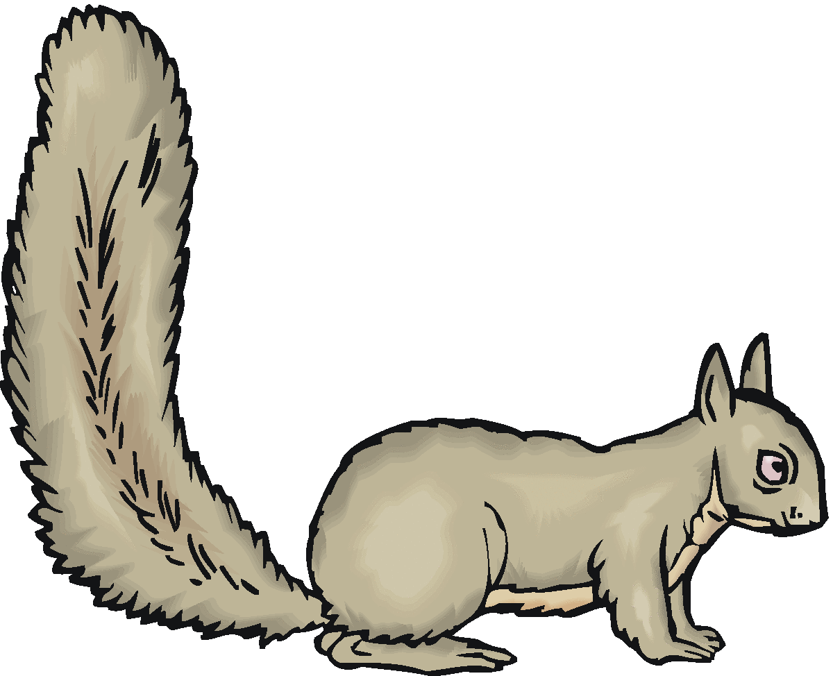 1200x974 Squirrel Clipart