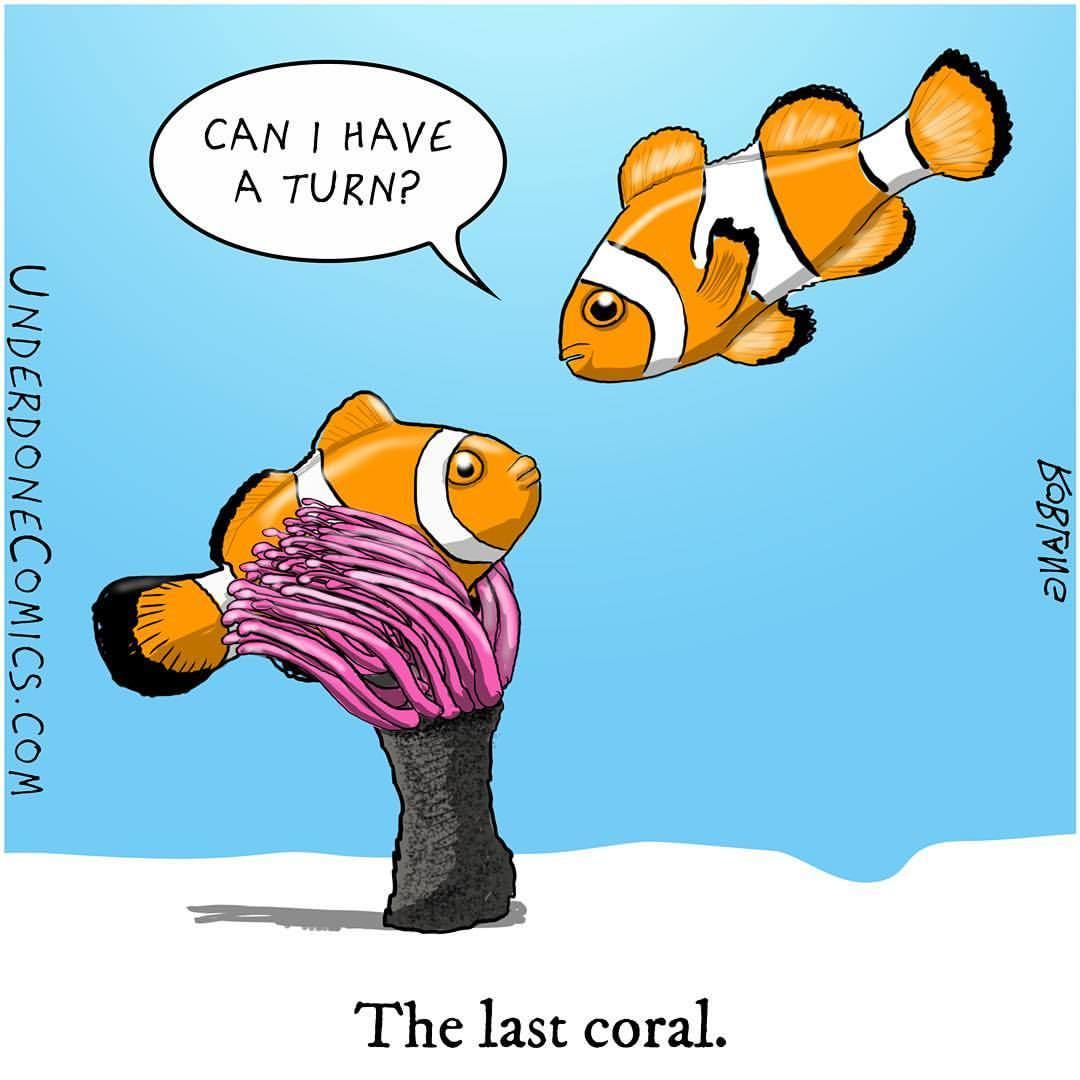1080x1080 Global Asia Blog The Faith Of Coral Reefs The Faith Of Humankind