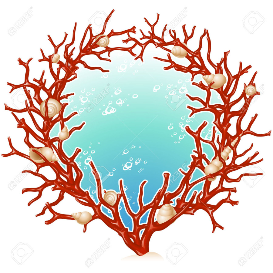 900x900 Red Coral Picture Frames Clip Art