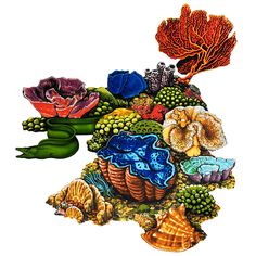 236x236 This Coral Reef Clipart Is Perfect For Your Task Browse Other