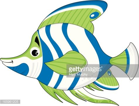 474x361 Tropical Fish