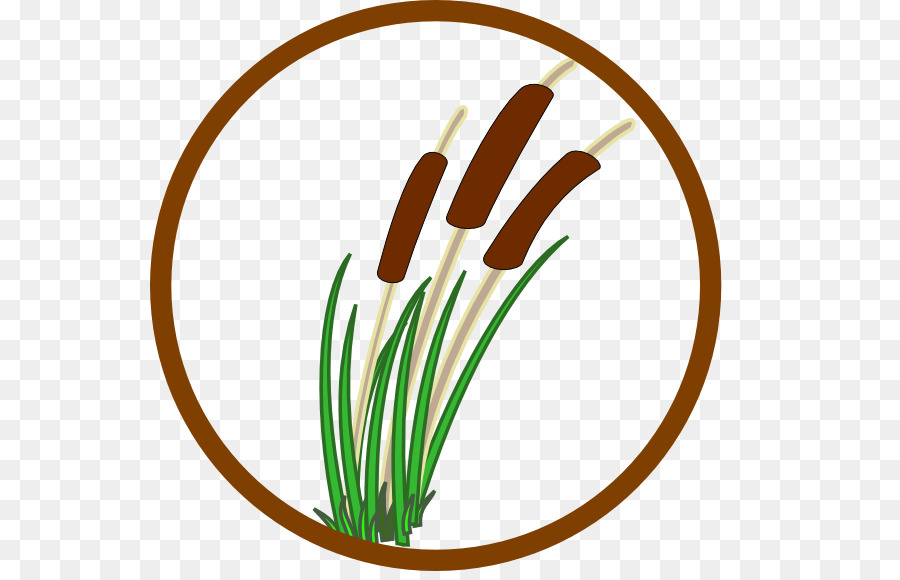 900x580 Wet Land Clipart