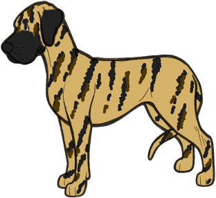 312x286 Dog Coat Colour Genetics