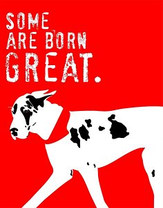 236x300 Great Dane Art Print Some Are Born Great Digital Art By Ginger