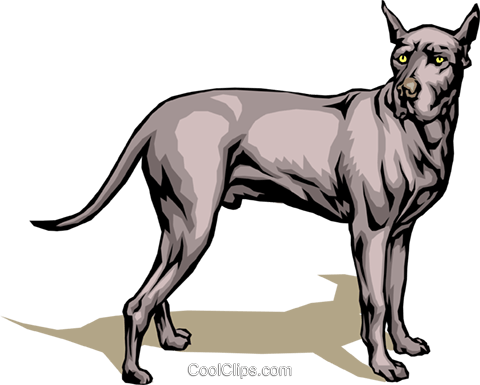 480x385 Great Dane Royalty Free Vector Clip Art Illustration Anim0072