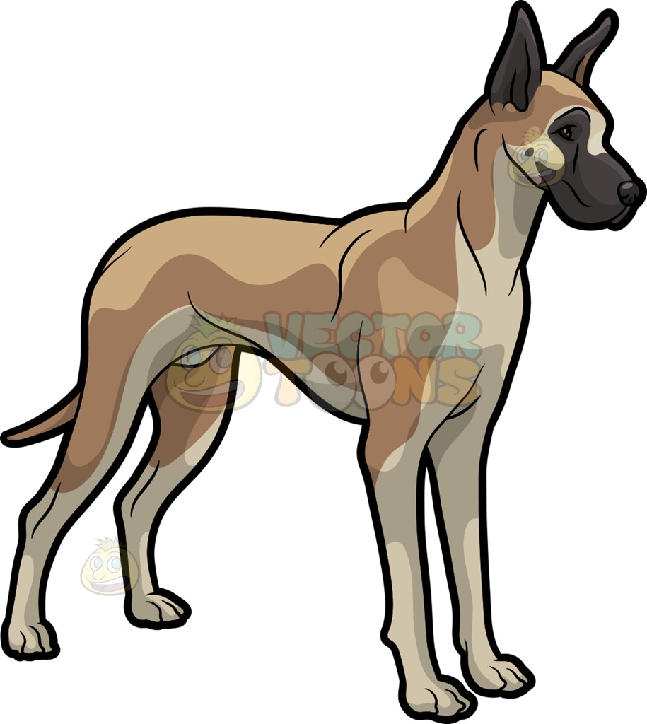 915x1024 A Beautiful Great Dane Cartoon Clipart Vector Toons