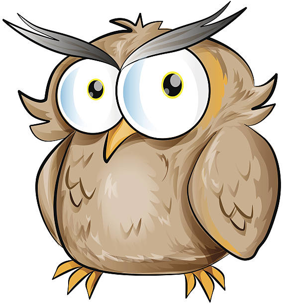 581x612 Brown Hawk Owl Clipart Carton