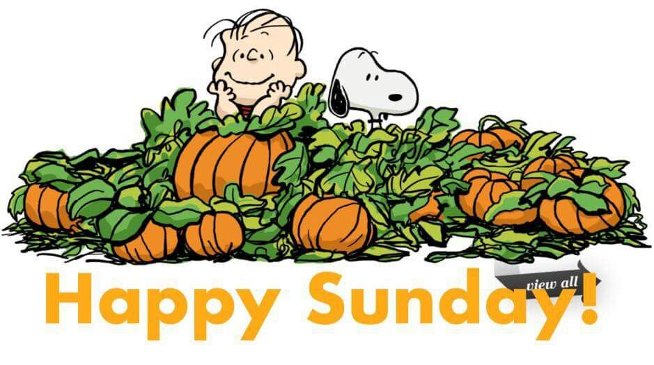 939x525 Pin By Julie Gadsby On Snoopy (Peanuts) Amp Gang