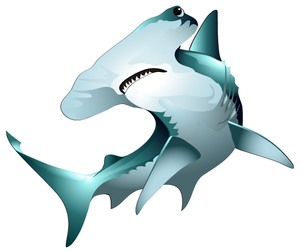 612x509 Shark Office Cliparts