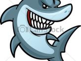 164x124 Lovely Great White Shark Clipart Fins Illustrations And Clip Art