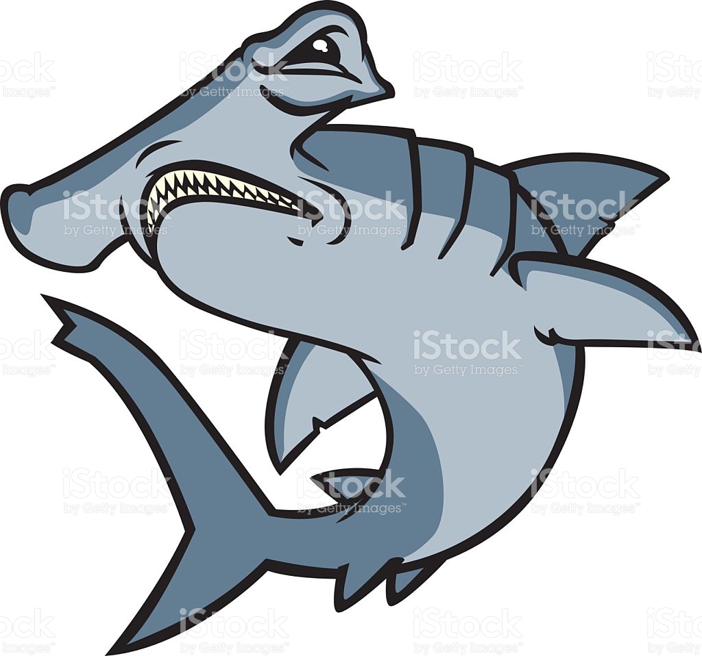 1024x958 Reduced Cartoon Hammerhead Shark Stock Vector Art More Images