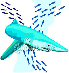 285x300 Top 86 School Of Fish Clip Art