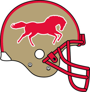 312x320 Birmingham Stallions