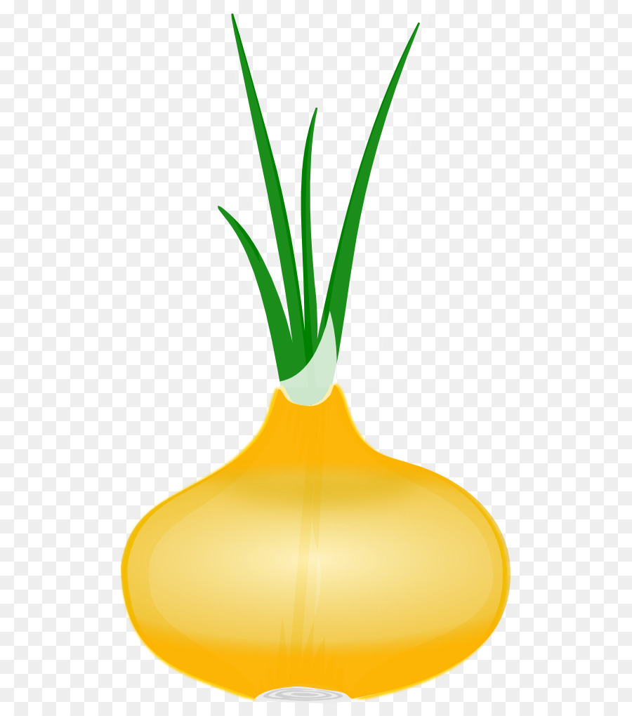 900x1020 Red Onion Vegetable Clip Art