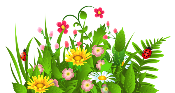 600x318 Cute Grass And Flowers Png Clipart Grasses