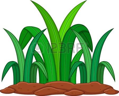 450x363 Dry Grass Clipart Green Grass