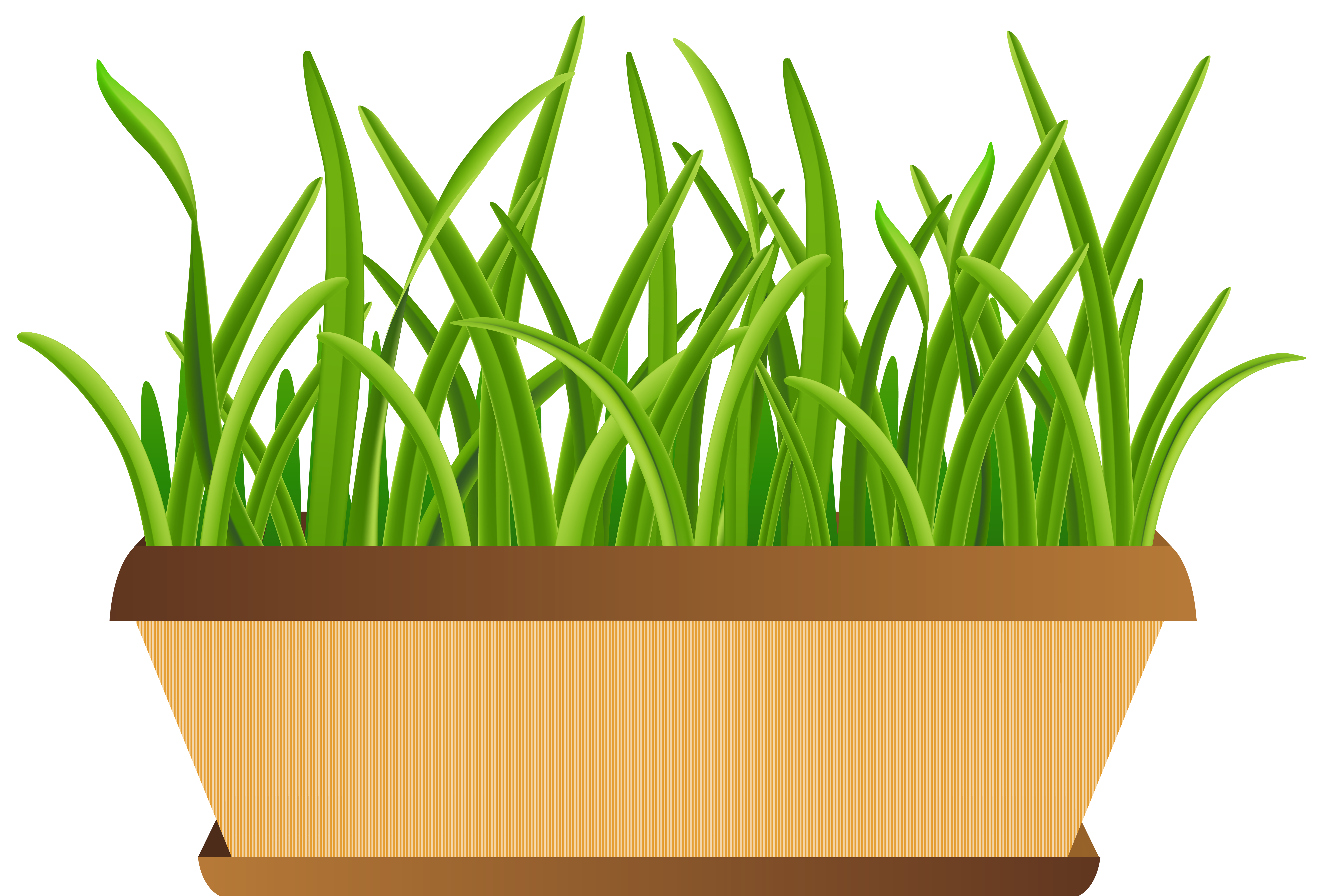 7000x4747 Flowerpot With Grass Transparent Png Clip Art Imageu200b Gallery