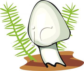350x296 Picture Of White Mushroom In The Ground By Green Grass In