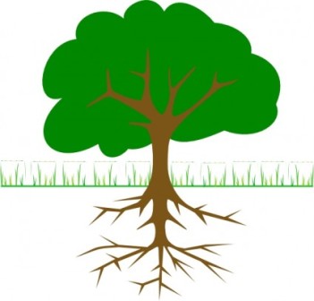 351x336 Tree And Grass Clipart