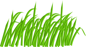 300x164 Green Grass Clip Art Green Grass Blade Clip Art