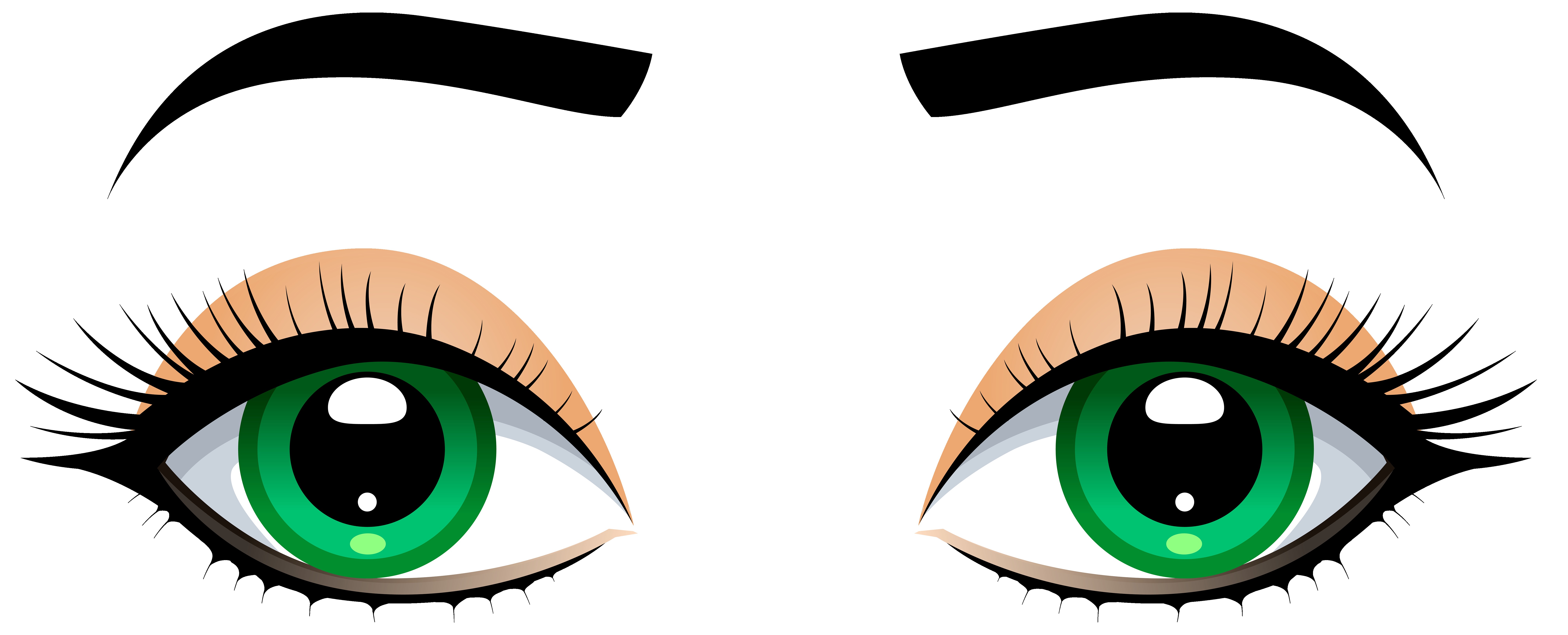 8000x3239 Female Eyes With Eyebrows Png Clip Art Best Web Clipart Fine Eye