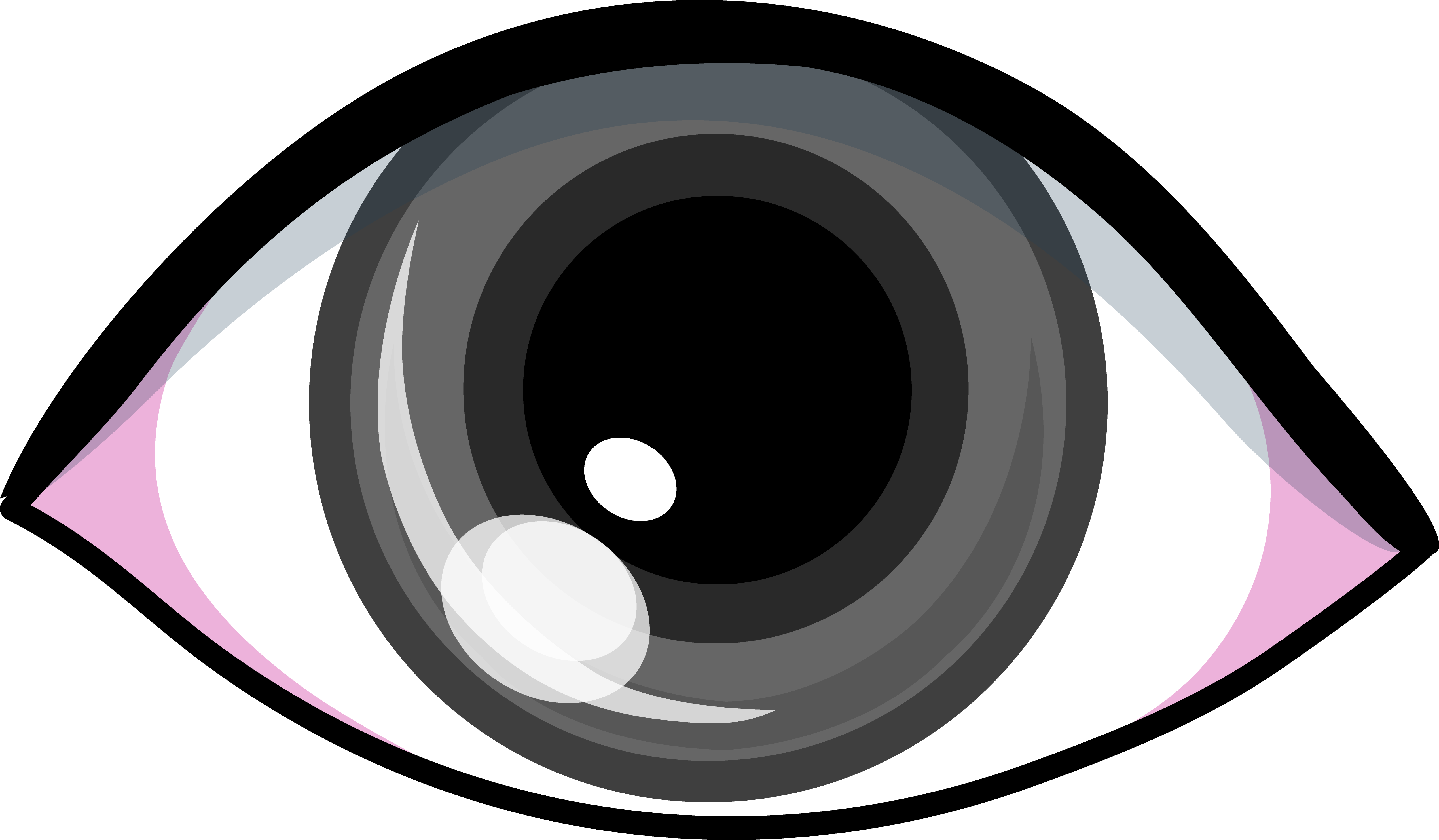 5076x2962 Grey Eye Clip Art