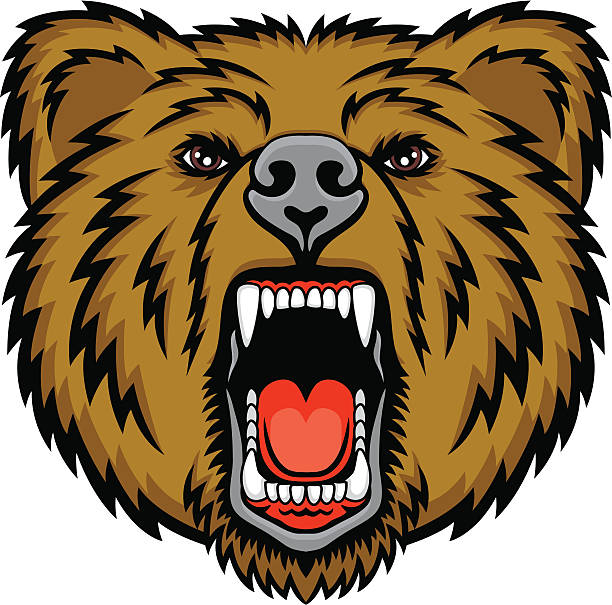 612x605 Grizzly Clipart Mean Bear