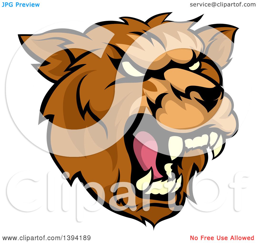 1080x1024 Clipart Of A Cartoon Roaring Grizzly Bear Mascot Head