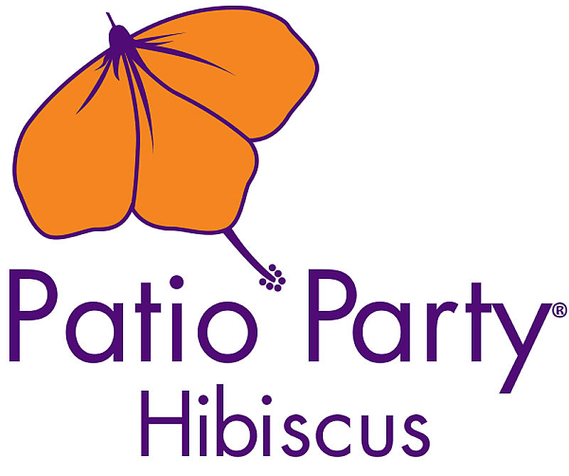 800x669 Patio Party Clip Art