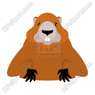 400x400 Groundhog Isolated On White Background Royalty Free Vector Clip