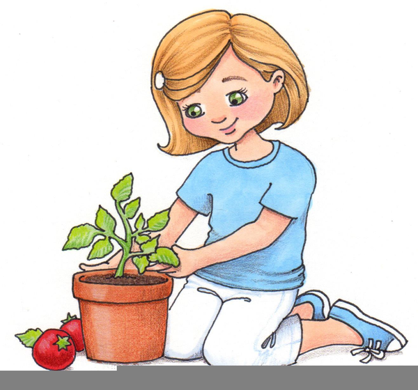 600x560 Seeds Growing Clipart Free Images