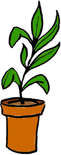 200x505 Plant Clip Art Clipartlook