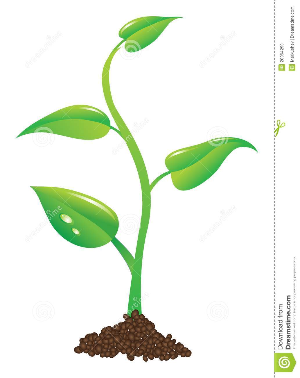 1033x1300 Growing Plant Clip Art Clipart