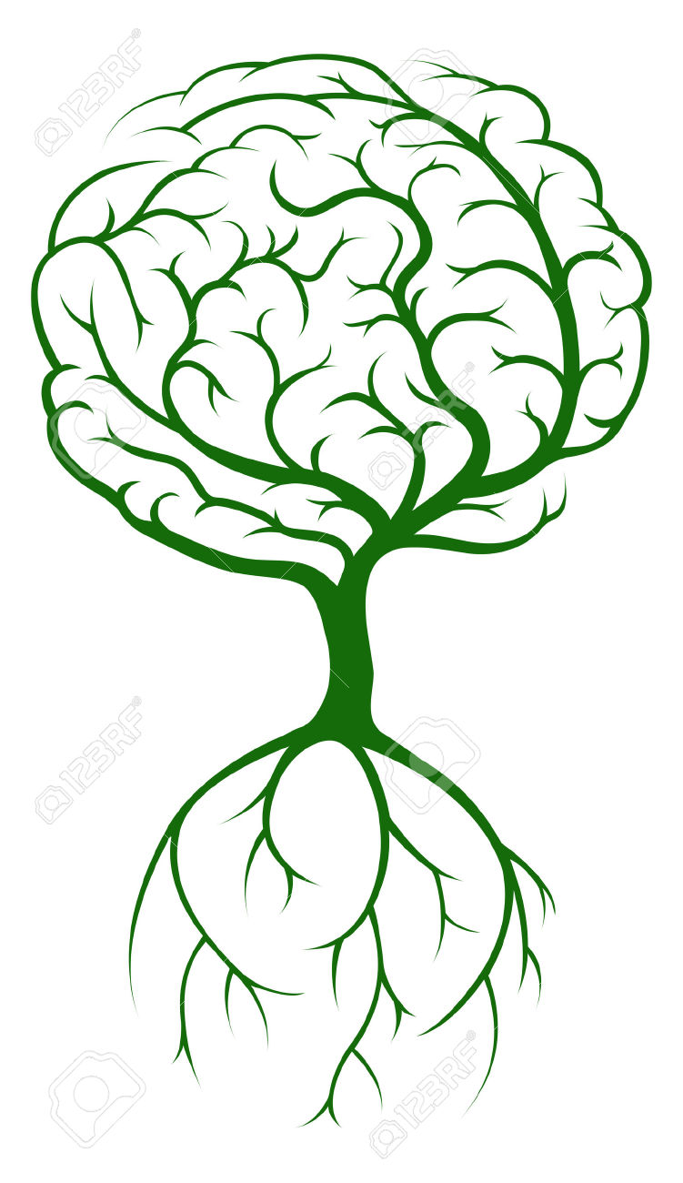 751x1300 Brain Growing Clipart